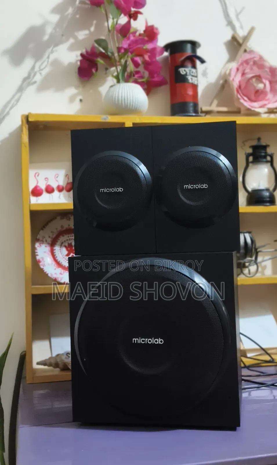 Microlab M-110 Speaker