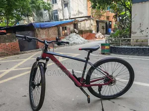 Mustang 1900 Cycle