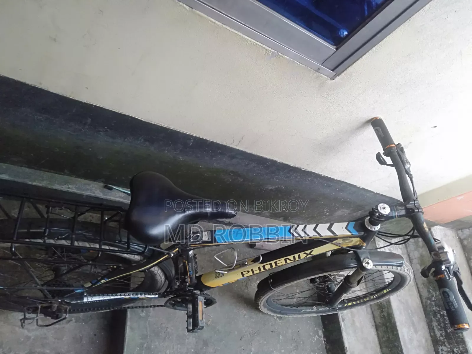 Bicycle Phoenix