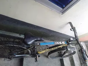 Bicycle Phoenix