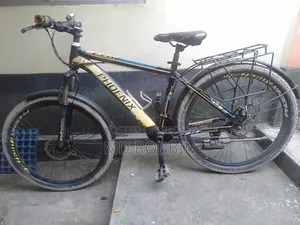 Bicycle Phoenix