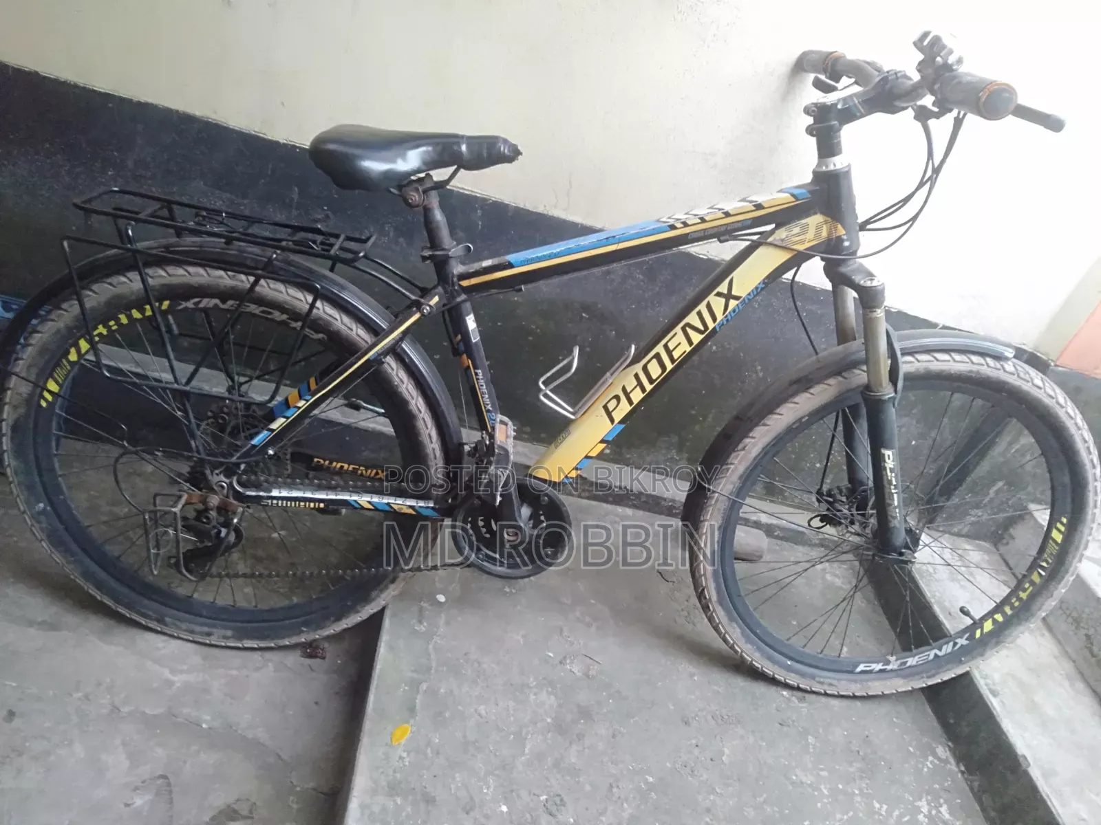 Bicycle Phoenix