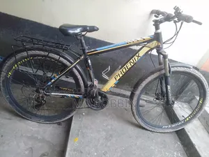 Bicycle Phoenix