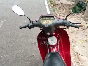 রানার কাইট + ১১০ ২০১৭ লাল