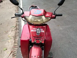রানার কাইট + ১১০ ২০১৭ লাল
