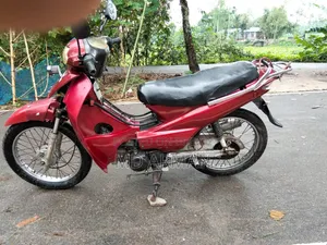 রানার কাইট + ১১০ ২০১৭ লাল