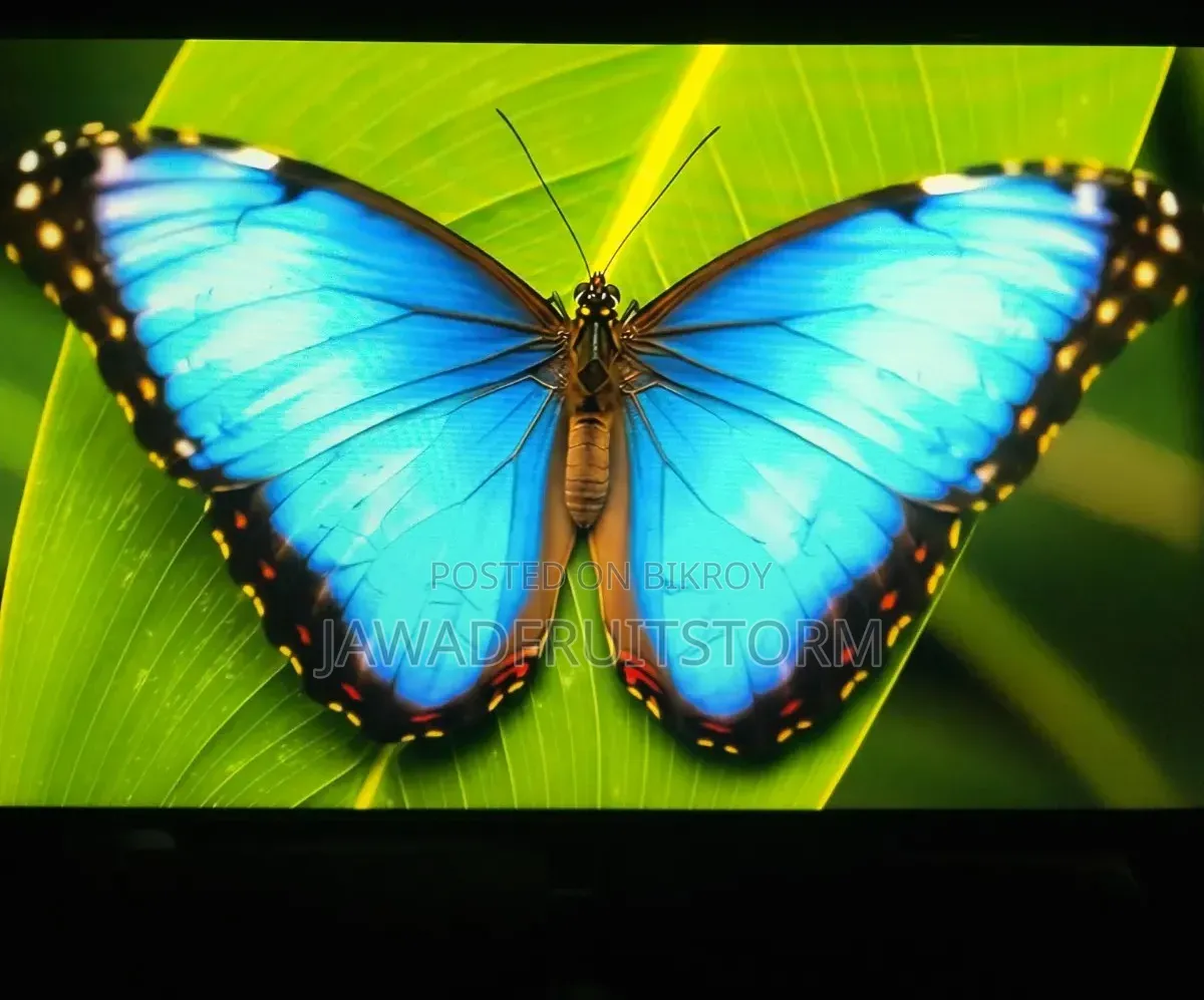 গেমিং মনিটর