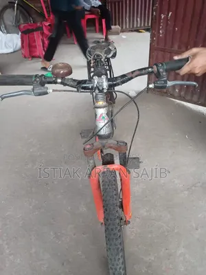 Running Cycle
