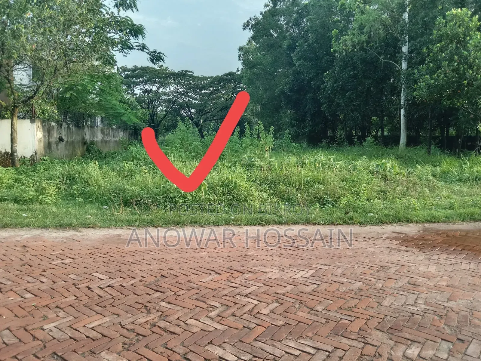 প্লট বিক্রয়