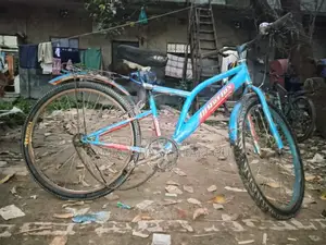 Reflex Cycle
