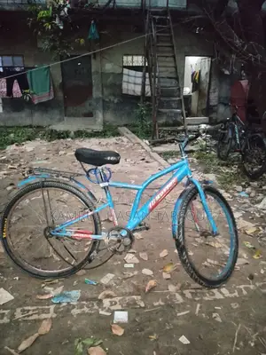 Reflex Cycle