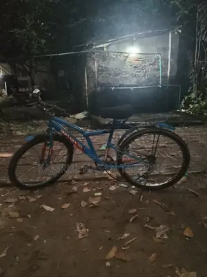 Reflex Cycle
