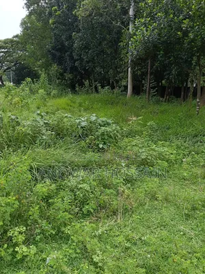 Plot For Sale