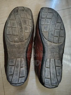 অ্যাপেক্স লোফার