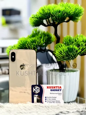 অ্যাপল আইফোন এক্সএস ২৫৬ জিবি রোজ গোল্ড