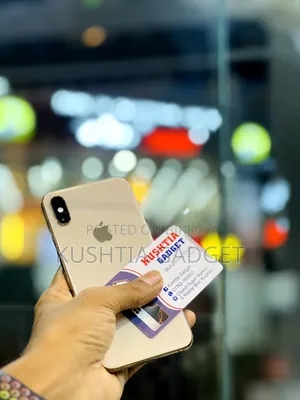 অ্যাপল আইফোন এক্সএস ২৫৬ জিবি রোজ গোল্ড