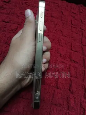 অ্যাপল আইফোন ১২ প্রো ১২৮ জিবি গোল্ড