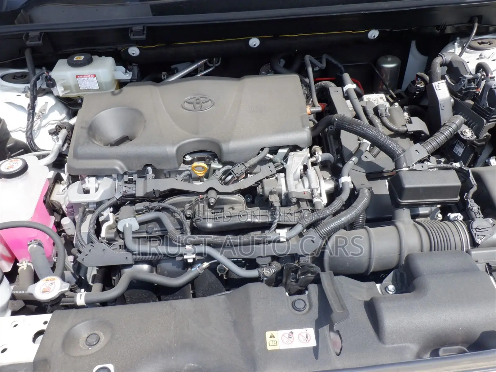 Toyota RAV4 2021 Pearl