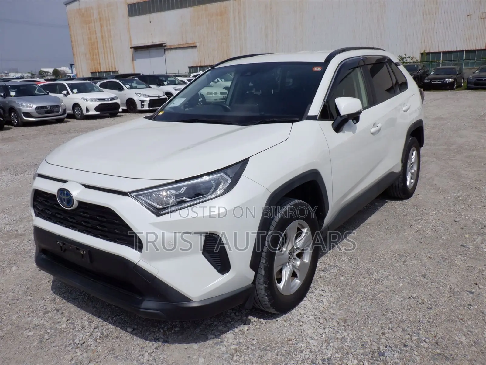 Toyota RAV4 2021 Pearl
