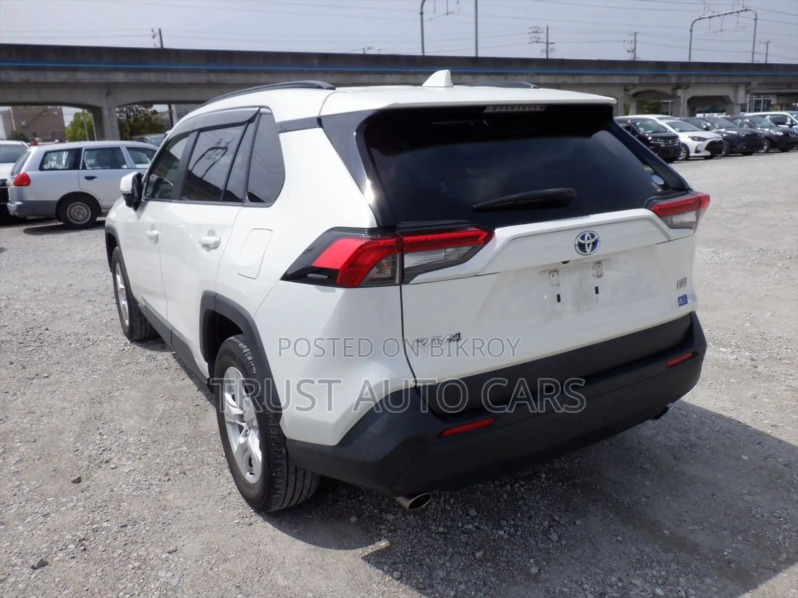 Toyota RAV4 2021 Pearl