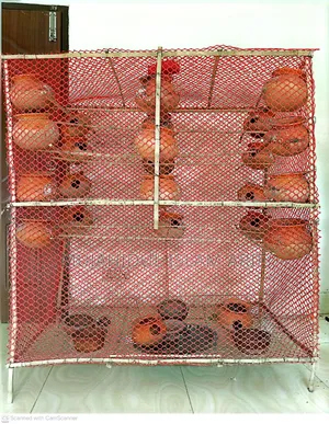 For Sale: Lovebird/Budgerigar Colony Type Bird Cages