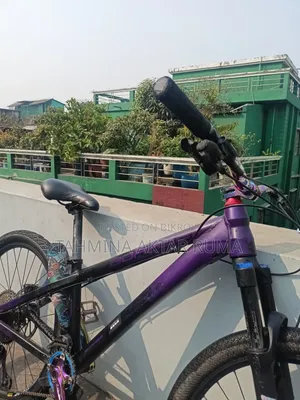 Stand Cycle