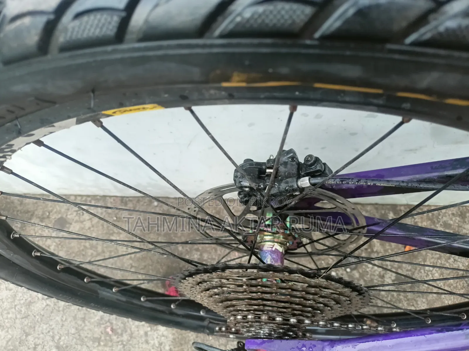 Stand Cycle