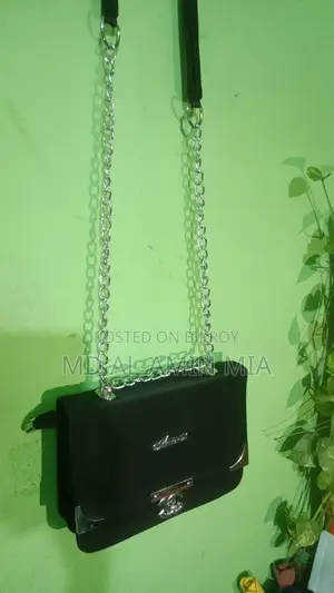 লেডিস ভ্যানিটি ব্যাগ