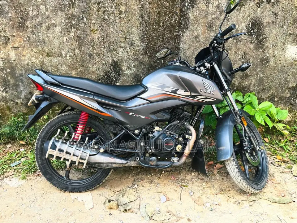 Honda Livo 2022 Gray