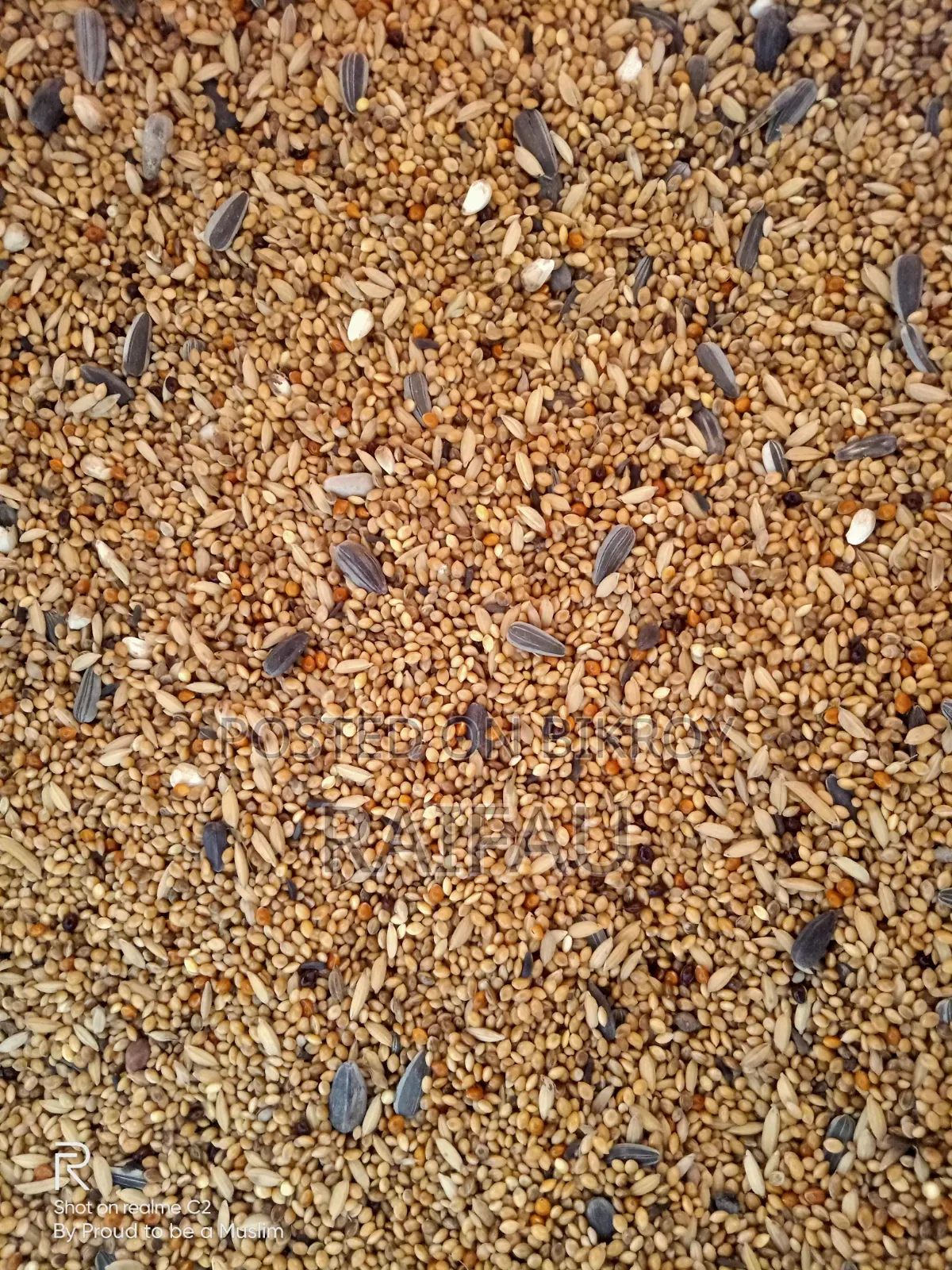 Bajigar Regular Mix