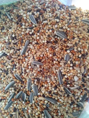 Special Seed Mix