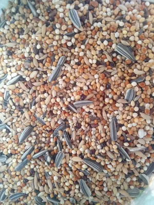 Special Seed Mix