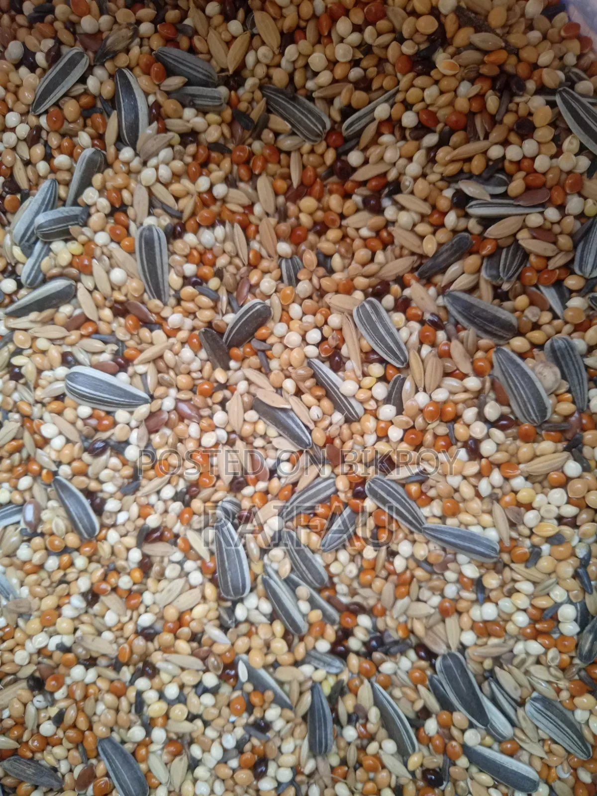 Special Seed Mix