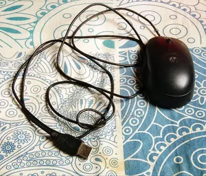 HP Official Mouse