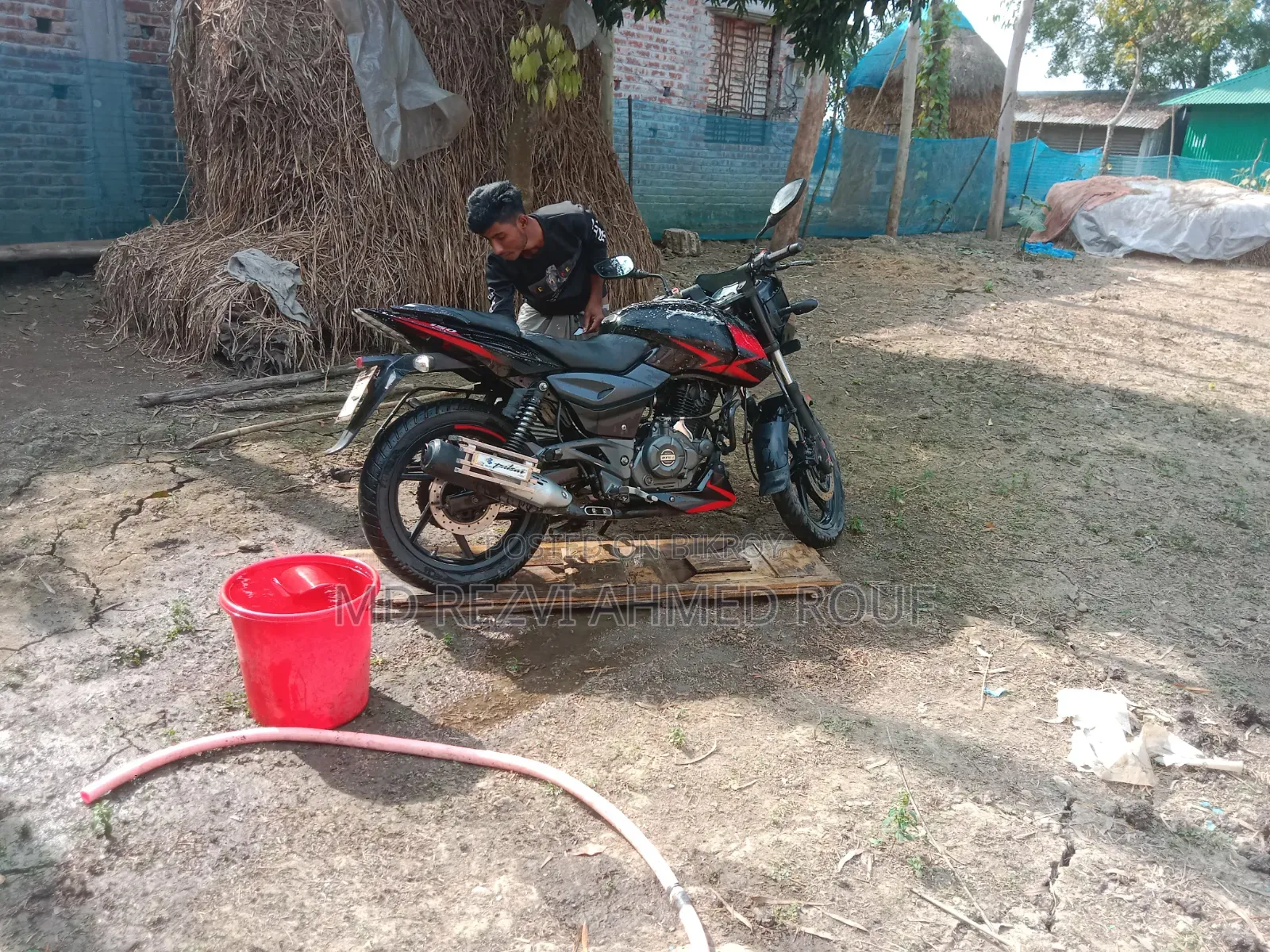 Bajaj Avenger 150 Street 2022 Black
