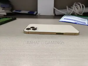 অ্যাপল আইফোন ১২ প্রো ম্যাক্স ২৫৬ জিবি গোল্ড