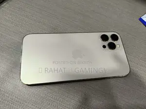 অ্যাপল আইফোন ১২ প্রো ম্যাক্স ২৫৬ জিবি গোল্ড