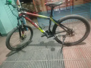 Phonix Cycle