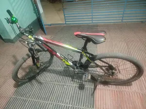 Phonix Cycle