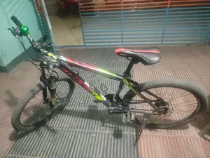 Phonix Cycle