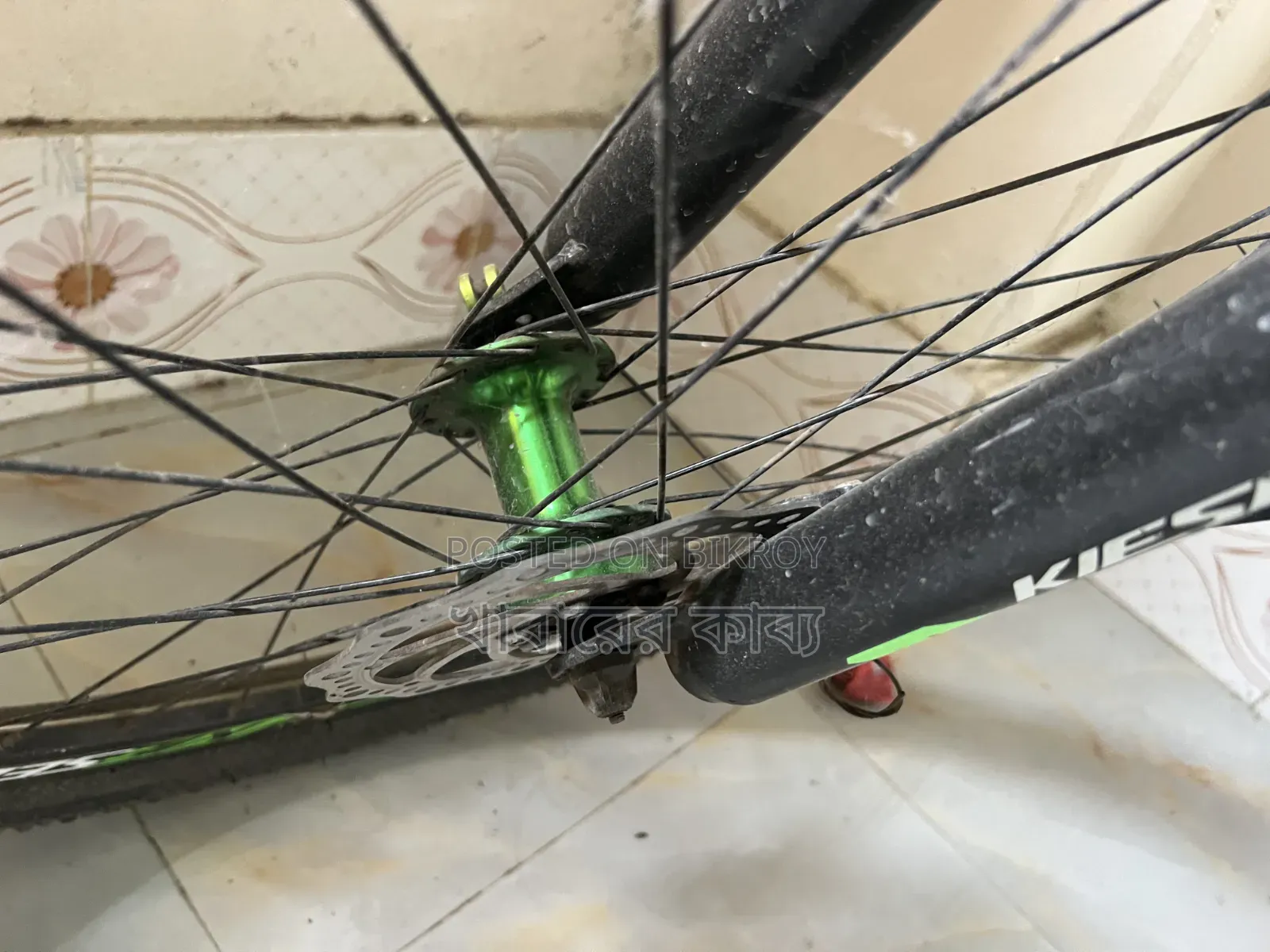 Kiesel... High Power Gear Bicycle..