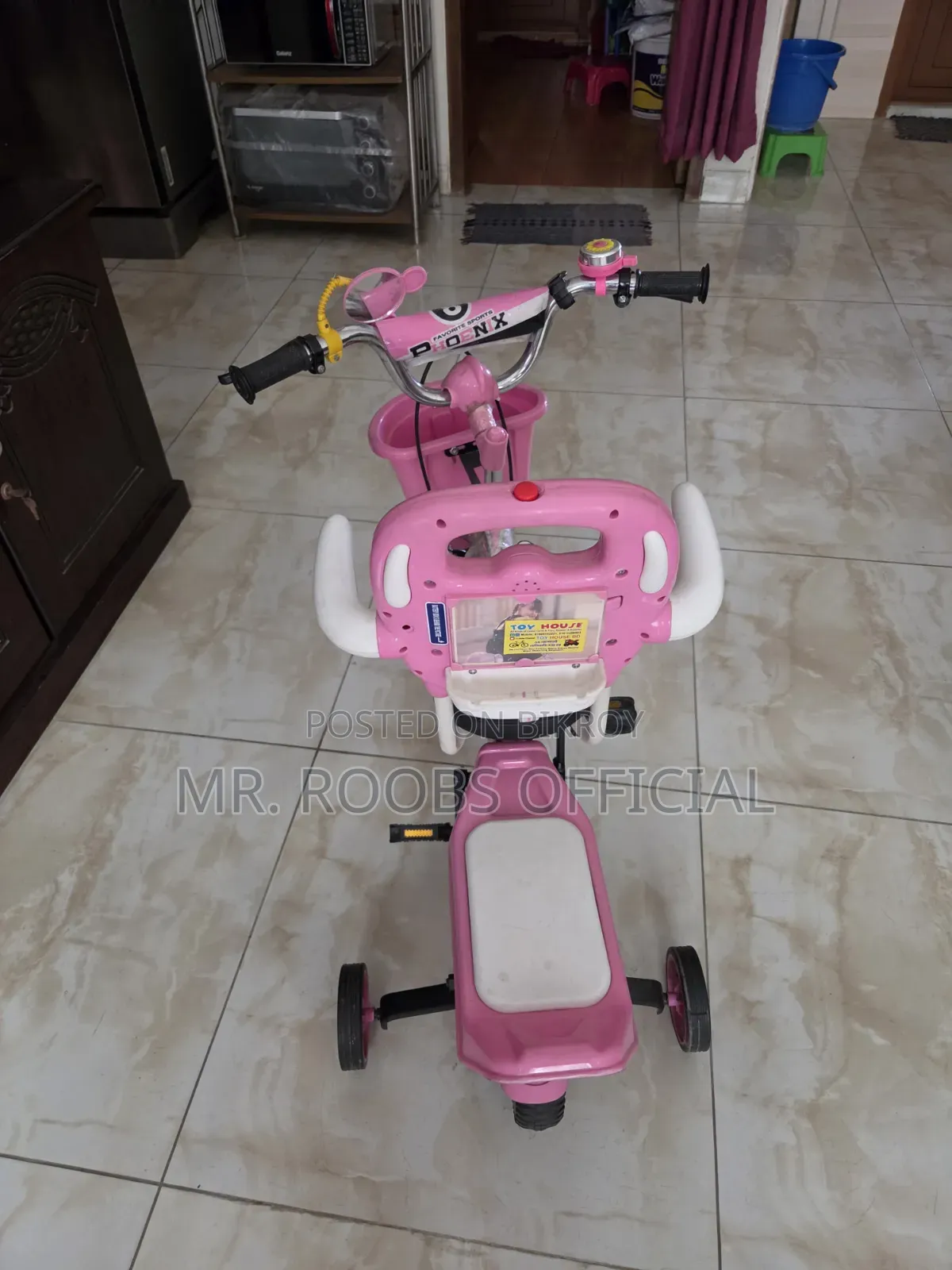 Phoenix Bicycle for Girls