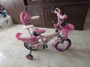Phoenix Bicycle for Girls