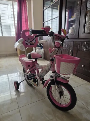 Phoenix Bicycle for Girls