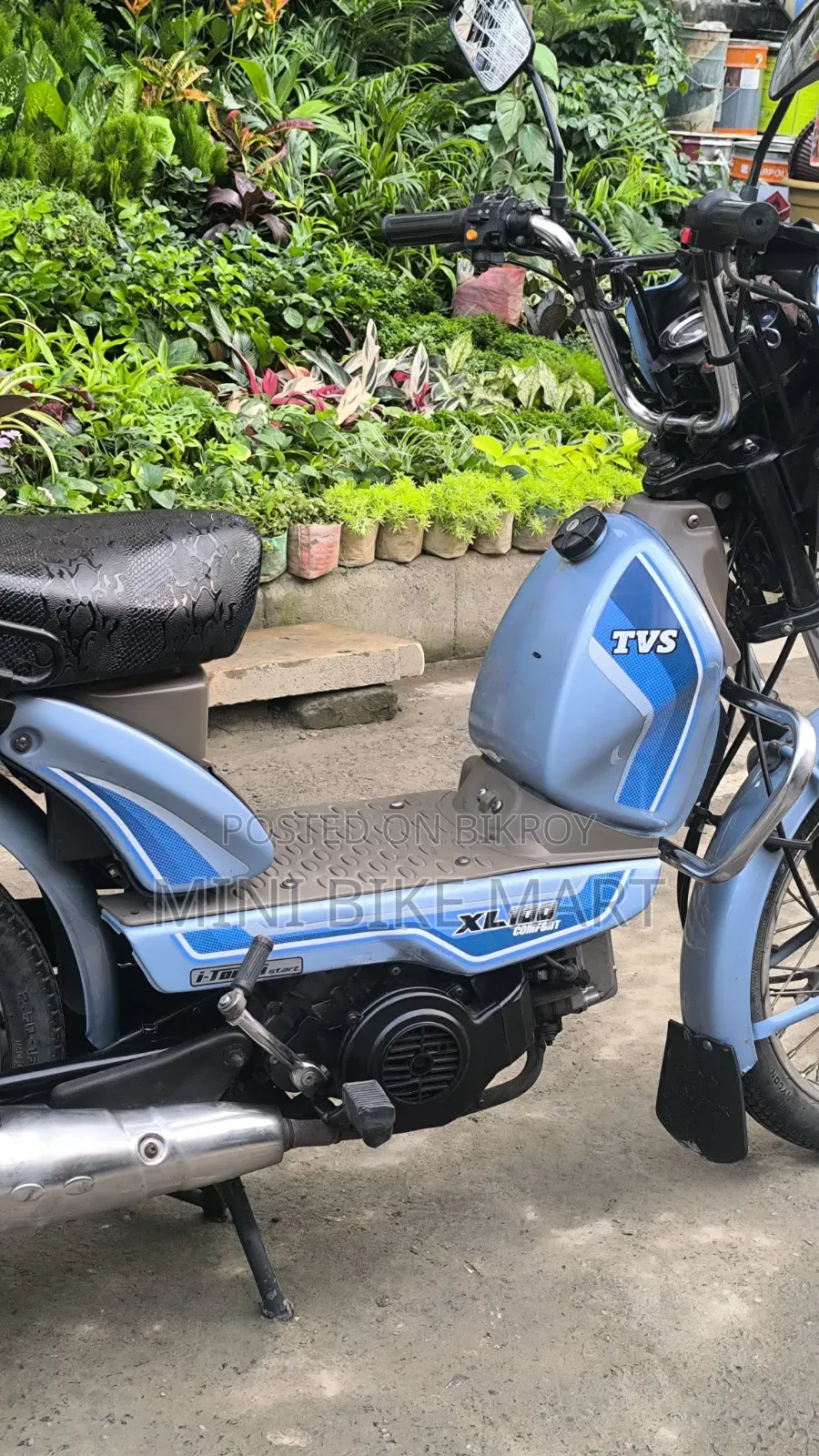 টিভিএস এক্সএল ১০০ কমফোর্ট ২০২৩