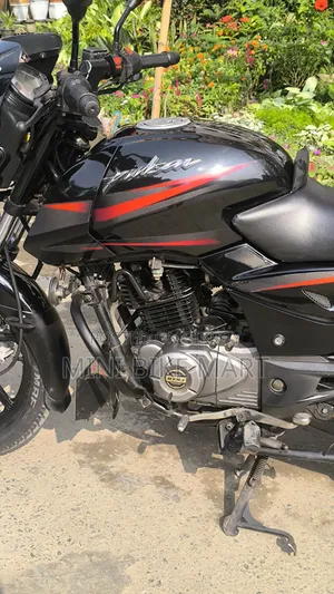 Bajaj Pulsar 150 2018 Black