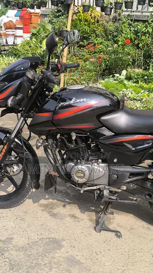 Bajaj Pulsar 150 2018 Black