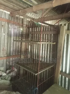 কবুতরের খাচা
