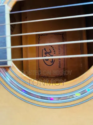 অ্যাকউস্টিক গিটার