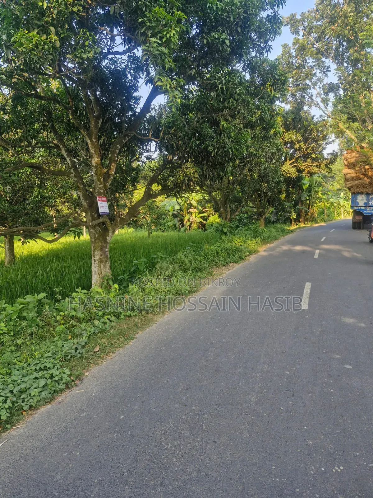 ৩০ ফিট রাস্তার পাশে সুলভ মূল্যে বাণিজ্যিক  ও আবাসিক জমি বিক্রয়